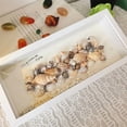 thumbnail image 5 of Long Shadow Box Frame Display Case Kit, 4x14.6" Rectangle 3D Frame with Shell for Beach Shells and Dried Flowers, Panoramic Wall Art for Home Decor, 5 of 7