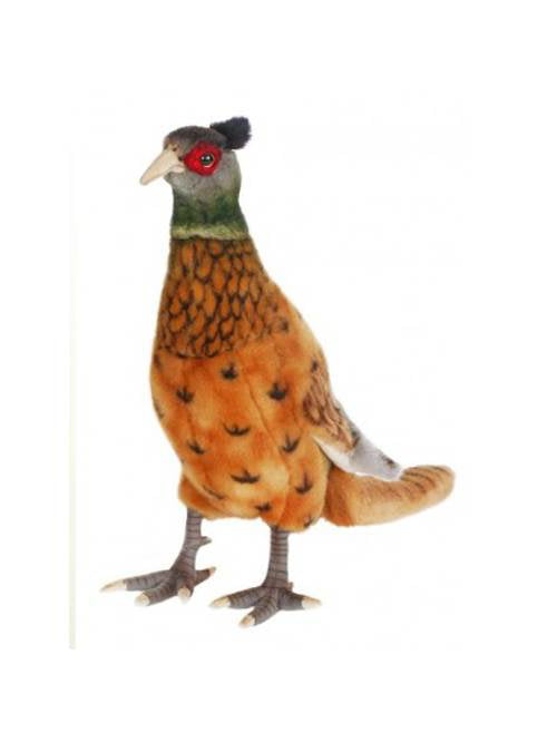 pheasant cuddly toy