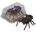 thumbnail image 4 of Collection d'Outils Interactifs Réalistes pour Insectes pour Jeu Éducatif Intérieur Extérieur, 4 of 9