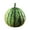 B, variant on Realistic Large Watermelon Plush Pillow Toy Fruit Model Decoration with Soft Material for Home Decor and Performance Prop