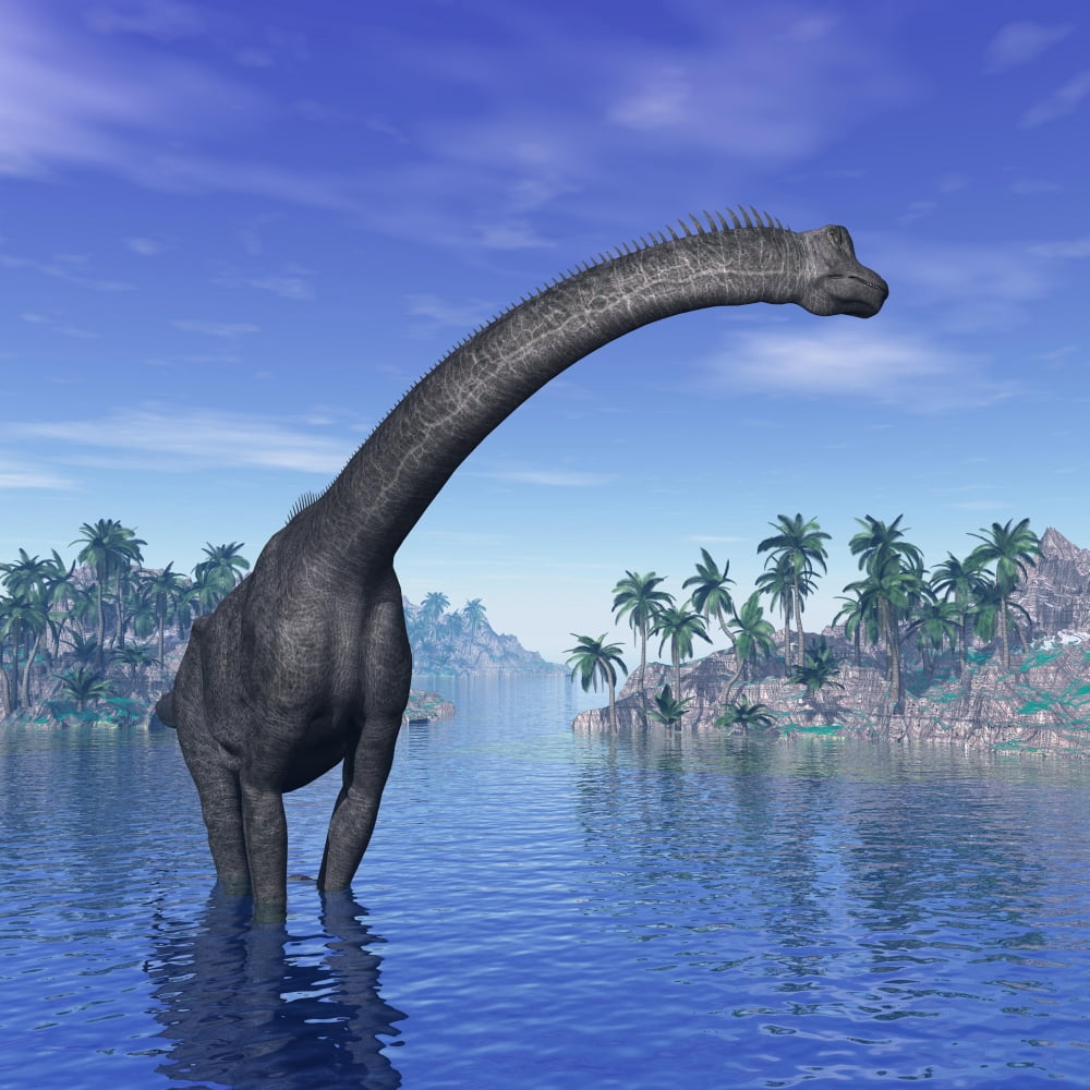 Brachiosaurus dinosaur in a tropical climate Canvas Art - Elena DuvernayStocktrek Images (29 x 29)