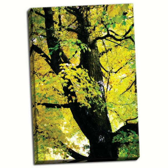 Gango Home Decor Autumn Color II by Alan Hausenflock (Ready to Hang); One 24x36in Hand-Stretched Canvas