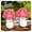 style3, variant on ICERUN 2Pcs Garden Statues,Resin Luminous Mushroom Sculpture Garden Decorations,Delicate Gill Details Outdoor Statues,Style1