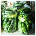 Everwilde Farms 100 Boston Pickling Cucumber Seeds Gold Vault Jumbo Bulk Seed Packet