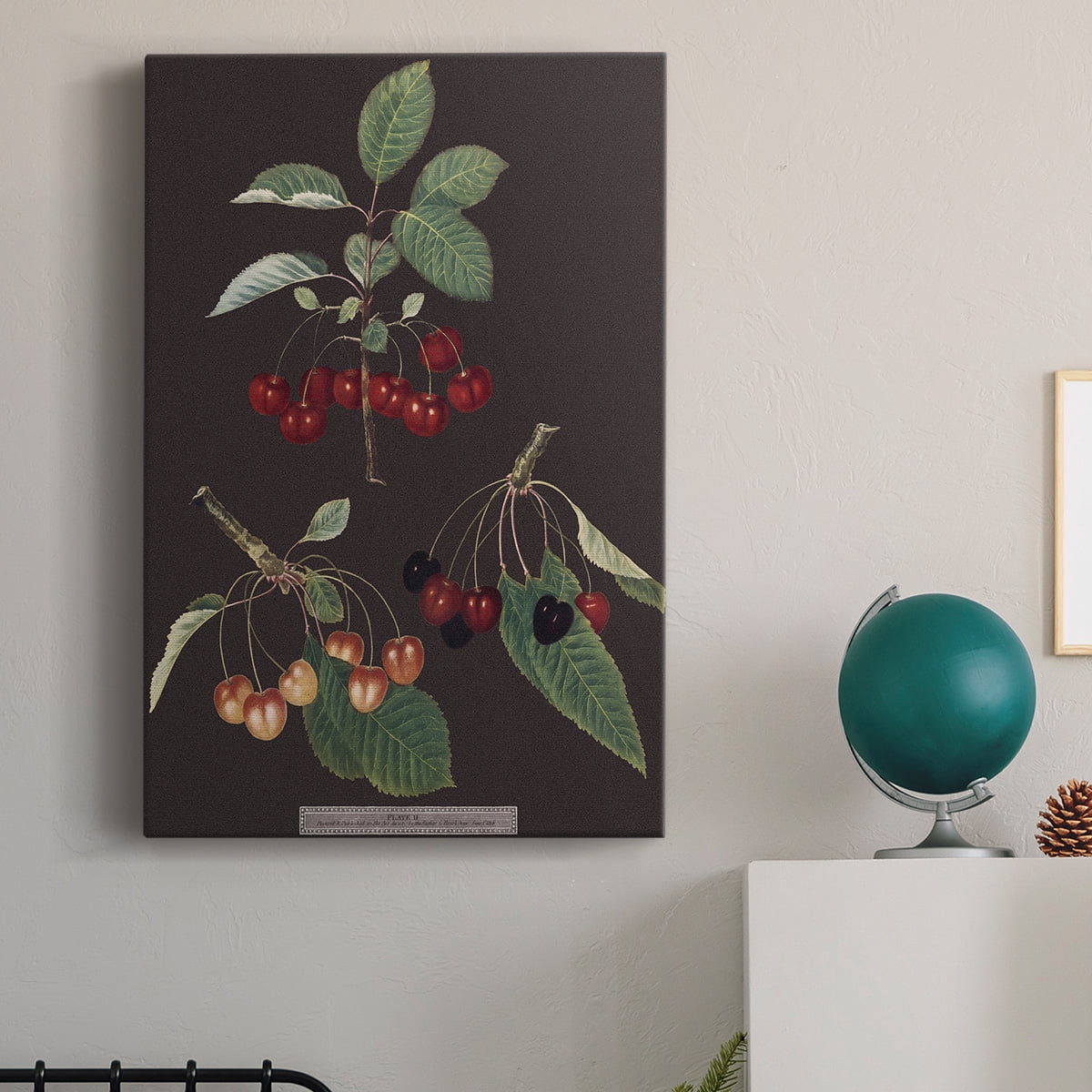 Brookshaw Cherries Premium Gallery Wrapped Canvas - Ready to Hang