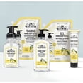 thumbnail image 3 of Loción para manos y cuerpo de sándalo ShiKai (paquete de 3 de 8 oz) | Cuidado de la piel hidratante diario para manos secas y agrietadas | Con aloe vera y vitamina E, 3 of 5