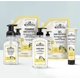 thumbnail image 3 of Loción para manos y cuerpo de sándalo ShiKai (paquete de 3 de 8 oz) | Cuidado de la piel hidratante diario para manos secas y agrietadas | Con aloe vera y vitamina E, 3 of 5