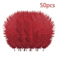 thumbnail image 2 of Pedty 50 Feathers,50 Pcs Colourful Plumage For Wedding Party Centerpieces Flower Arrangement Home Decoration Diy Middle Floating Plume Hair Clothing Craft Decoration Plumage,Office Cabinet, 2 of 3