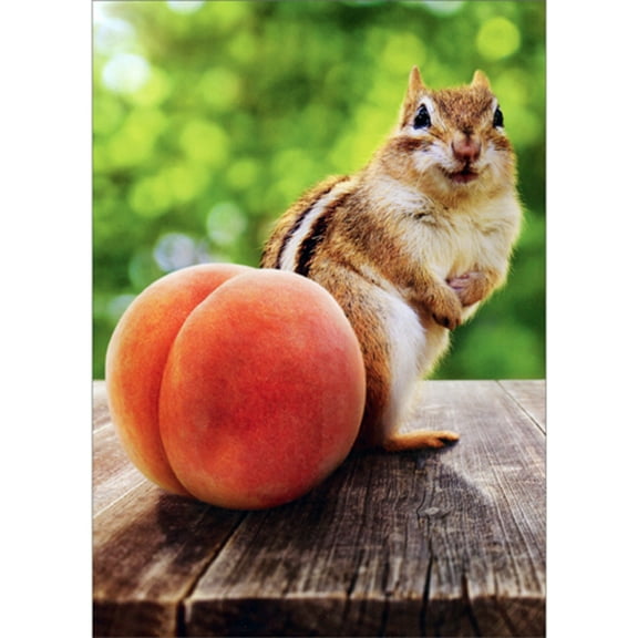 Avanti Press Peachy Chipmunk Humorous / Funny Get Well Card