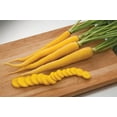 thumbnail image 3 of TomorrowSeeds - Solar Yellow Carrot Seeds - 1000+ Count - For 2026 Planting Long Sweet Danvers Moon, 3 of 9