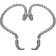 thumbnail image 1 of Pendientes de serpiente para mujer shaofei piercing tipo puño 65904, 1 of 2
