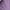 Purple, variant on Wangmeiwg Thermal Underwear Top for Women Pure Long Sleeve Crew Neck Soft Warm Knit Fall Winter Comfort Layering Purple M