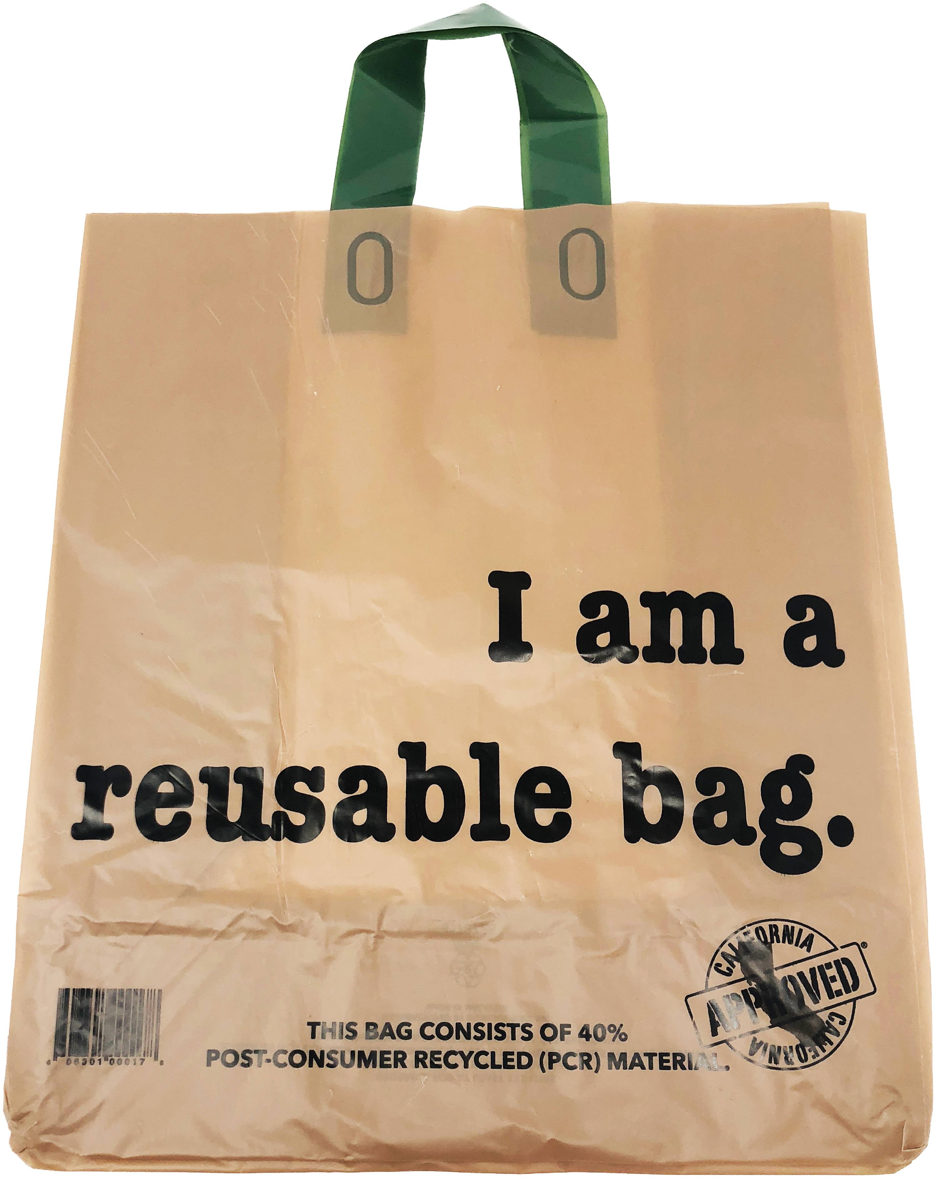 Reli. Shopping Bag, Reusable (250 count Bulk; 2.25 mil thick) for