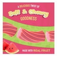thumbnail image 5 of Wiley Wallaby Watermelon Flavored Licorice Candy, 7.05 oz. Resealable Bag, 5 of 6