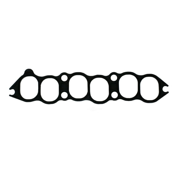 Fuel Injection Plenum Gasket