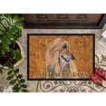 thumbnail image 3 of Carolines Treasures SC9509MAT Tapis Intérieur Ou Extérieur 18 x 27 Po. Afghan Hound, 3 of 4