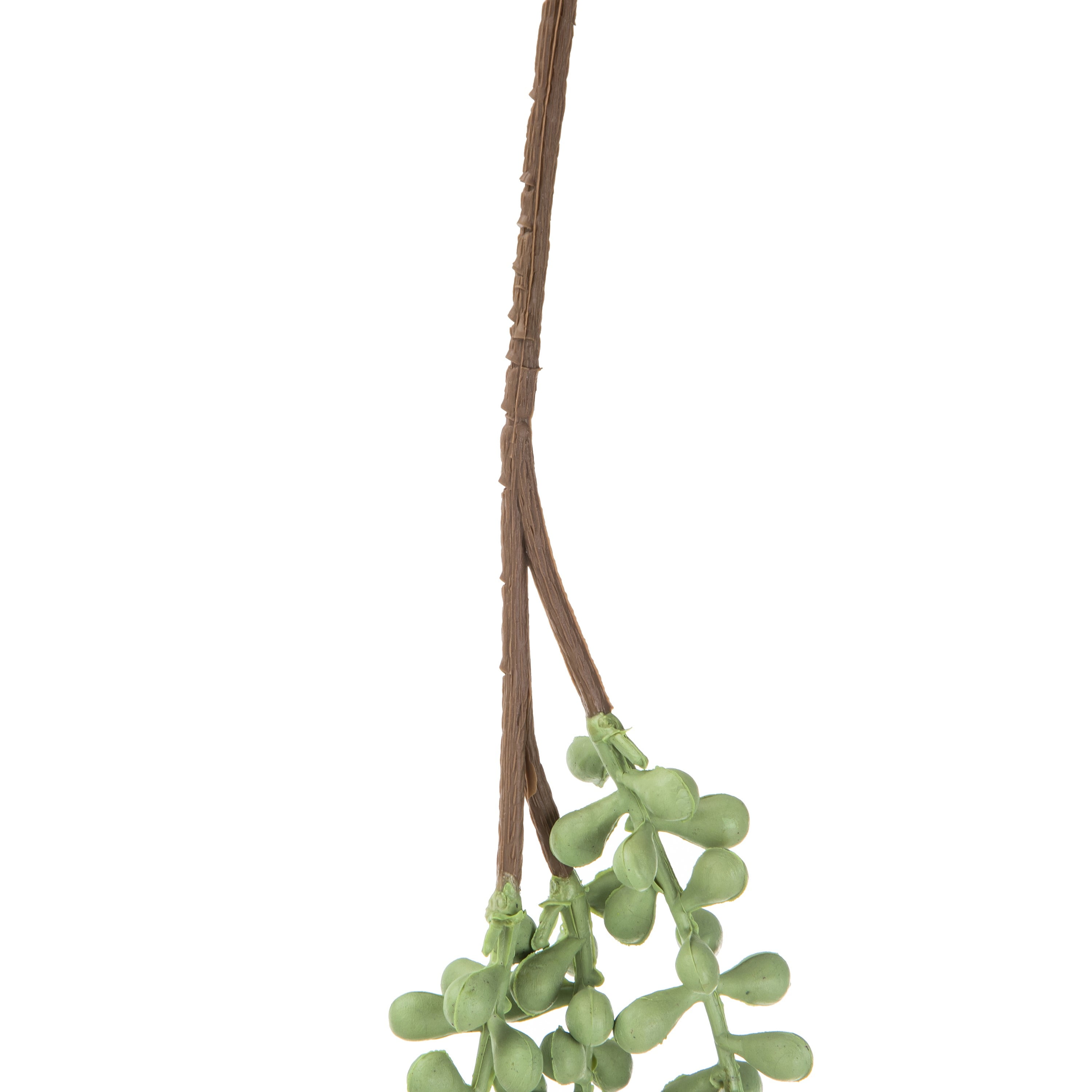 Mainstays 24" Artificial String of Pearls Succulent Pick, Light Green