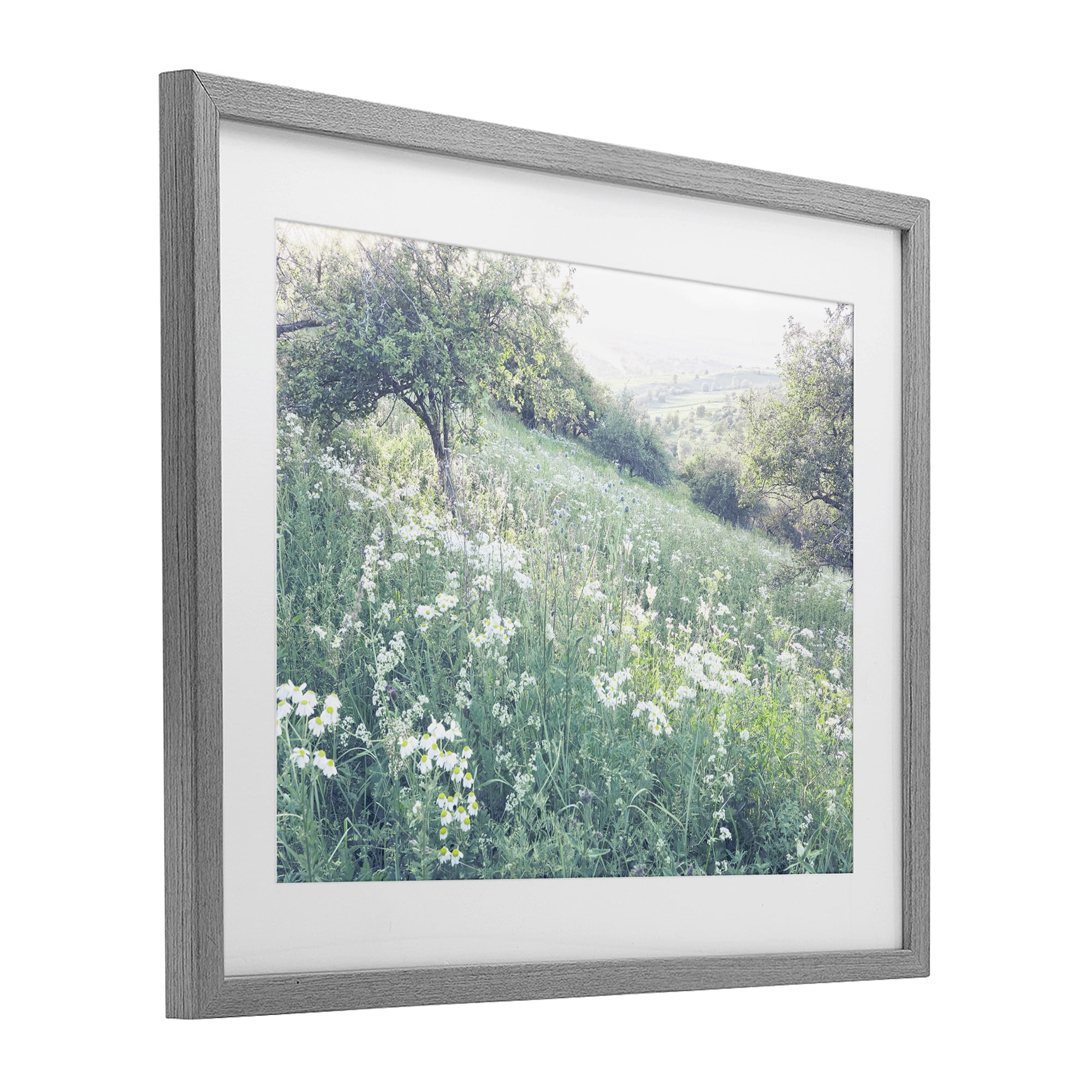 Stupell Industries Sunny Daisies in Meadow Gray Framed Print Under Glass, design by Leah Straatsma