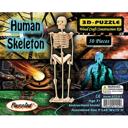 Puzzled 3D Puzzle Human Skeleton Wood Craft Construction Model Kit, Fun & Educational DIY Wooden Toy Assemble Model Unfinished Crafting Hobby Puzzle to Build & Paint for Decoration 50 Pieces Pack
