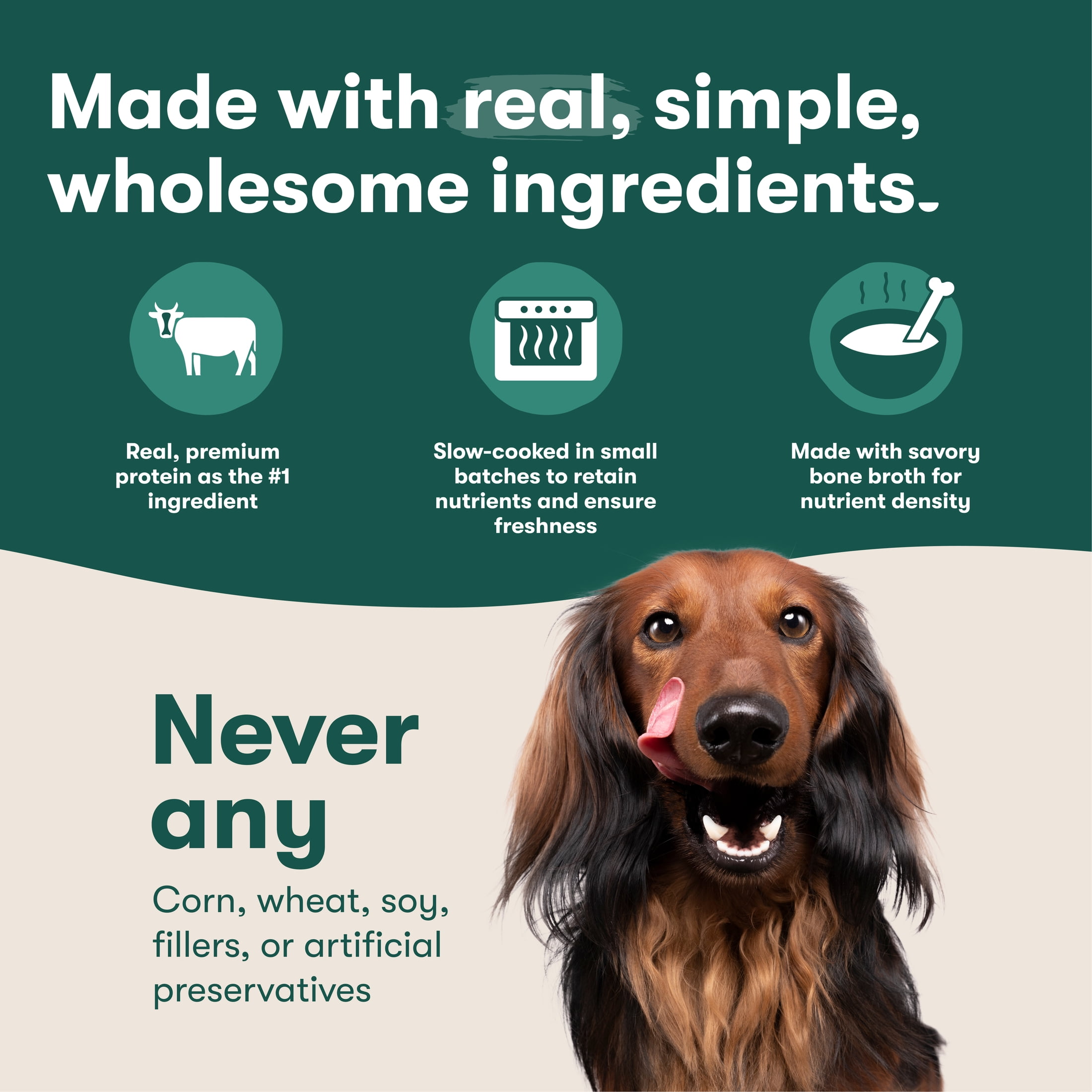 (6 pack) Jinx Homemades Chicken & Salmon Recipe Wet Natural Dog Food, Grain-Free, 9 oz. Pouch