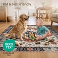 thumbnail image 4 of ODIKA 6'x9' Ultra-Soft Area Rug, Entryway Boho Vintage Southwestern Border Motif Distressed Scroll None Washable, Bare feet friendly, Silk-Touch for Guest Room, Bedroom, 4 of 7