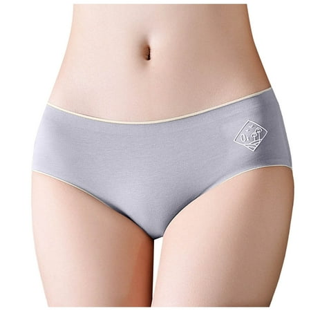 Ierhent Panties Women s Breathable Micro-Mesh Low-Rise Brief Underwear (Blue M)
