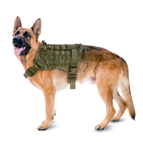 service puppy vest