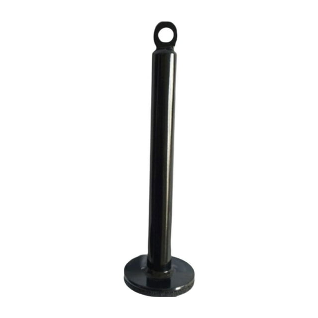 Pin de carga de peso, pasador de carga de entrenamiento de gimnasio en casa, accesorio de máquina de cable de polea, para construir tríceps y bíceps 2cm Dia 22 cm de longitud