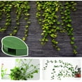 thumbnail image 6 of Rawiri Wall-Mounted, Self-Adhesive, for Plant Support & Cable Management - Green Leaf Design Adjustable Climbing Plant Clips, 6 of 7