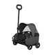 thumbnail image 2 of Carroller de mascotas 4 ruedas Corredor de perros Ligero, transportista de viajes de mascotas, carrito de mascotas desmontable para pequeños gatos de negro, 2 of 9
