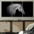 thumbnail image 2 of PixonSign Canvas Print Wall Art Set Pinhole Style Horse Portrait Animals Wildlife Photography Realism Rustic Closeup Relax/Calm Dark Black and White for Living Room, Bedroom, Office - 24"x36"x3, 2 of 5