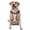 With Accessories, variant on Vsdgher Cartoon Squirrel Pattern Dog Harness,No Pull Pet Harness with Soft Padded Handle,Adjustable Reflective Vest with 2 Buckles,4 Slide Buckles,S-XL