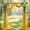 Gold, variant on Wedding Arch Draping Fabric 20FT 1 Panel Chiffon Fabric Drapes for Wedding Arch Backdrop Sheer Ceiling Curtains Party Drapery for Reception Ceremony Arch Drape Swag Decor