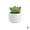 F, variant on Artificial Potted Plant Succulent With Pot Small Faux Fake Cacti 2024K L8I1