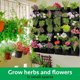 thumbnail image 1 of Ganfancp Bolsillo de Engrosamiento Que Cuelga de La Pared Jardinera Vertical de Flores Bolsa de Plantación de Hierbas Artículos En Liquidación 1X Bolsa de Cultivo, 1 of 2