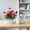Red-RD, variant on MMJ Artificial Flowers Small Potted Plant 7.1x4.7x3.1in Faux Foliage in Fence Planter for Desk Shelf