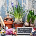 thumbnail image 3 of 7 pcs Resin Miniature Elf Statues Fairy Garden Mini Gnome Statue for Tabletop and Garden, 3 of 5