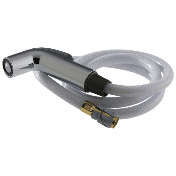 Delta Side Spray & Hose Assembly in Chrome RP28900