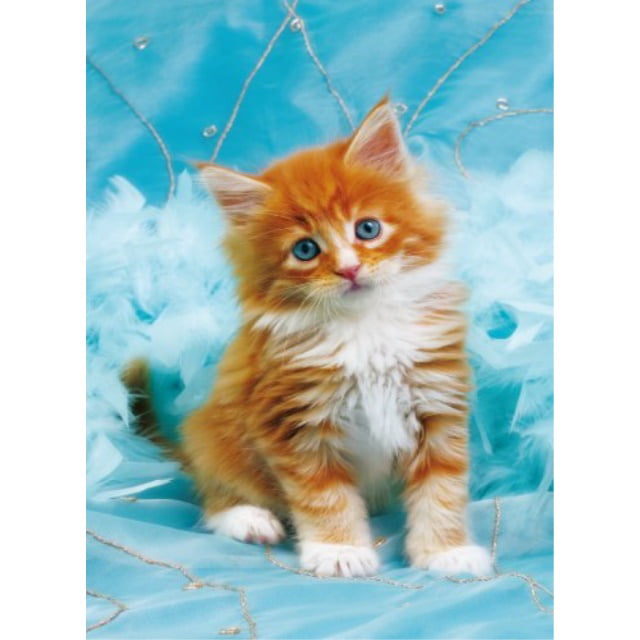 Clementoni HIGH QUALITY COLLECTION PUZZLE Kitten 1000 Pieces Puzzle Cat Cat 