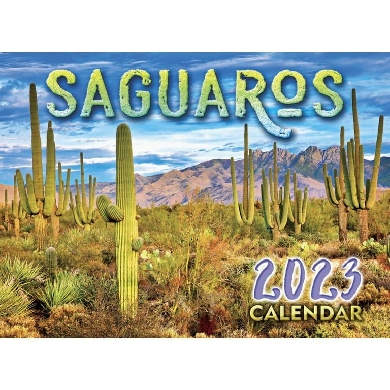 Smith Southwestern 2024 Calendars For Sale Walmart Ucf Spring 2024