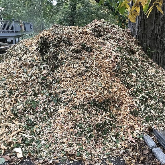Wood Chips 2 LBS