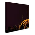 thumbnail image 3 of Trademark Fine Art "Ocotillo Moonrise" Canvas Art by Roderick Stevens, 3 of 4