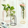 thumbnail image 3 of HEVIRGO Nordic Metal Stand Test Tube Vase Plant Flower Pot Hydroponic Planter Home Decor, 3 of 8