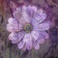 thumbnail image 2 of Phillip, Jamie 20x20 Gold Ornate Wood Framed with Double Matting Museum Art Print Titled - Watercolor Love 1, 2 of 4