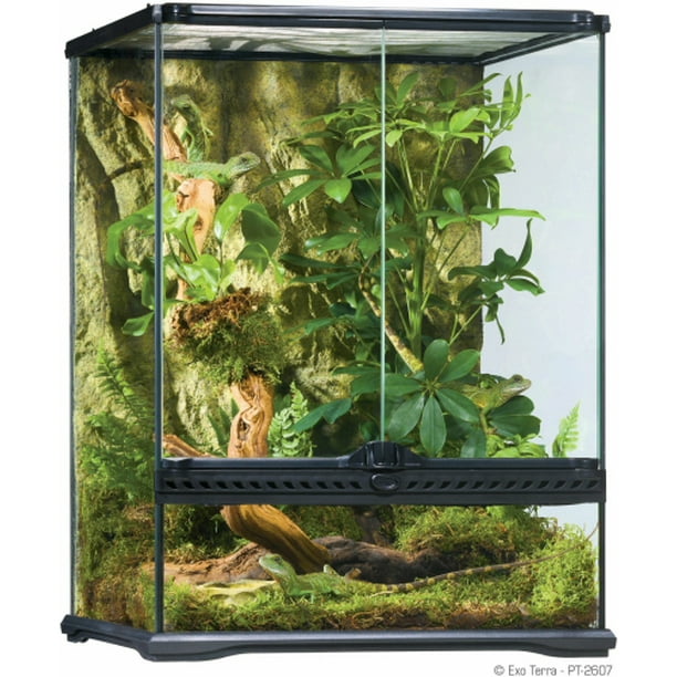 Exo Terra Tall Glass Terrarium Small Walmart Com Walmart Com