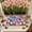 Multicolor130, variant on Tuvgenk Quick Dry Easter Bathroom Rugs Non Slip Absorbent Bath Mat Small Multicolor Rectangle Easter Eggs 1'X2' Shower Mat