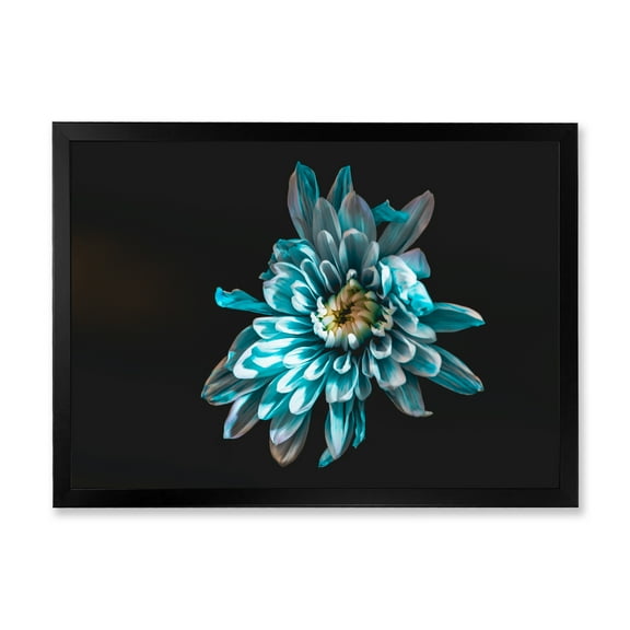 Designart 'Top View of White and Blue Flower' Traditional Framed Art Print