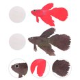 thumbnail image 1 of unbranded 4Ud De Simulado Para Acuario Con En Colores Variados, 1 of 8