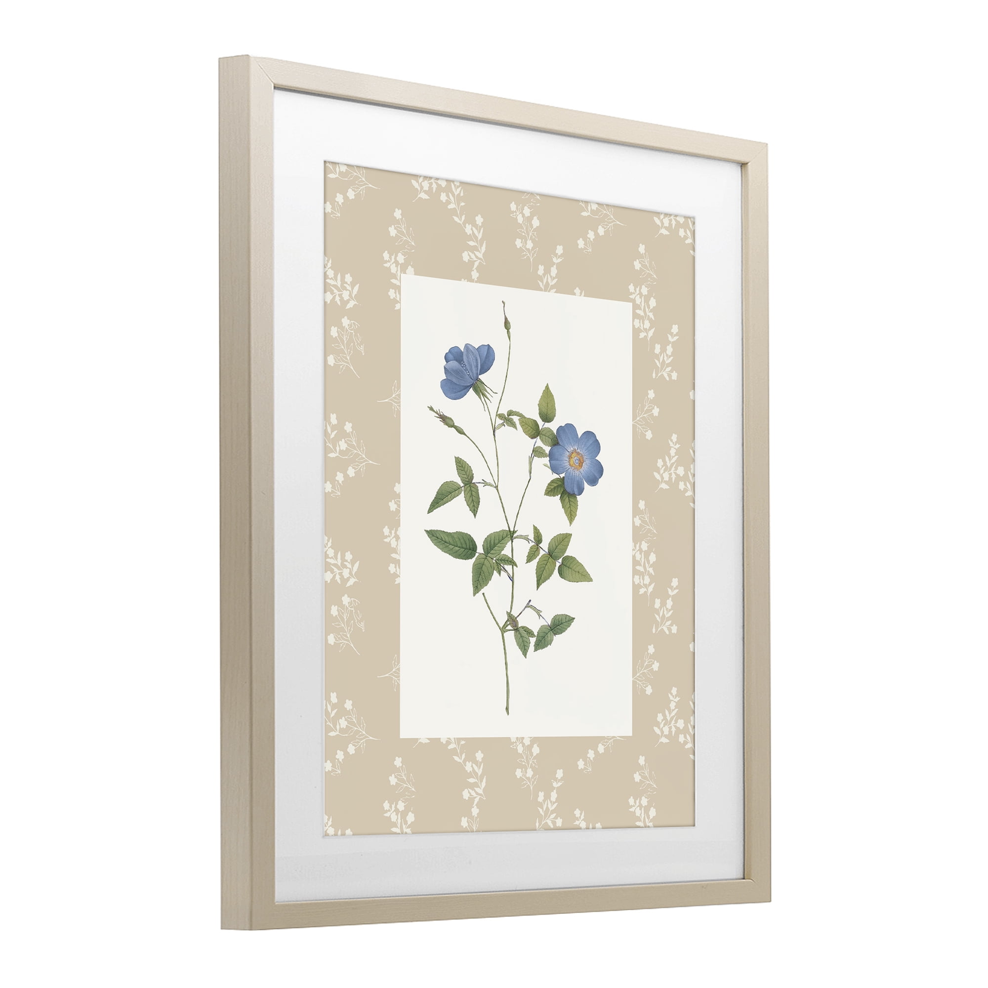 Stupell Industries Vintage Botanical Plate Birch Framed Print Under Glass, design by Val Rhodes