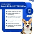 thumbnail image 4 of LIQUIDHEALTH Joint Juice Drops Chondroitin & Glucosamine for Dogs Joint Health, 2 Oz, 4 of 6